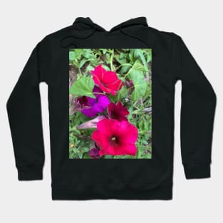 Multicolored Petunias Hoodie